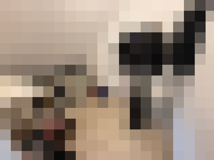  / #18