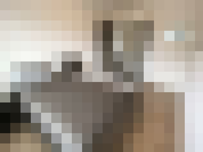  / #16