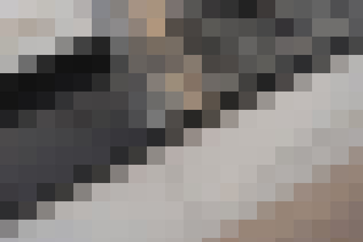  / #15