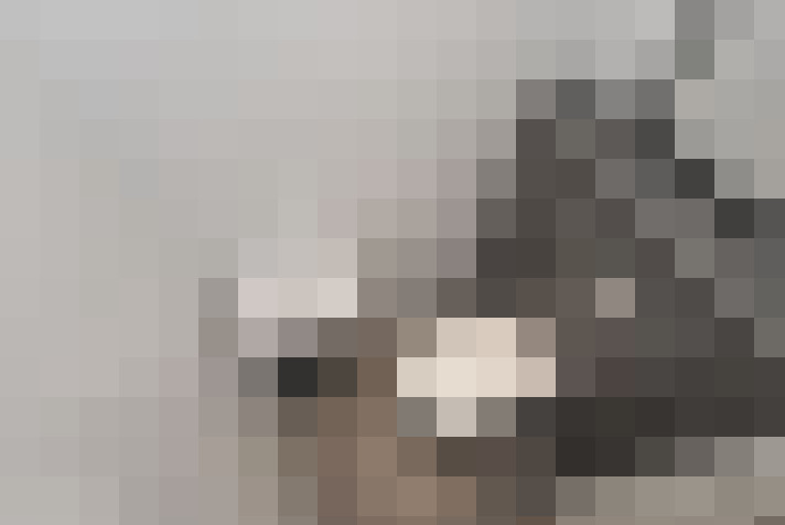 / #20