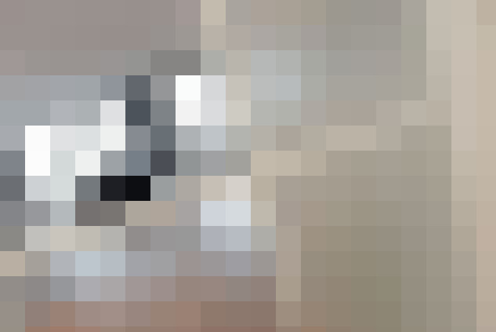  / #19