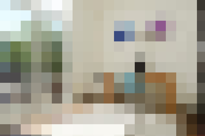 / #15