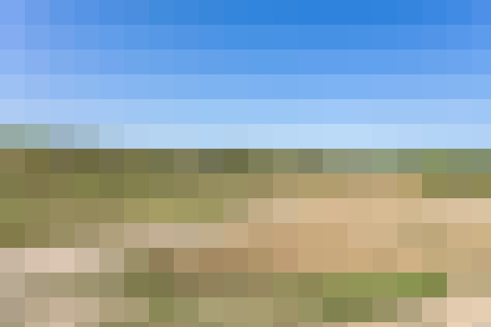  / #14