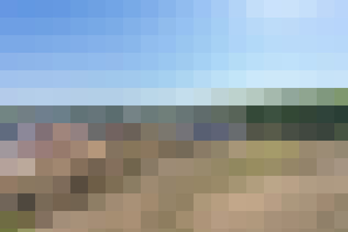  / #15