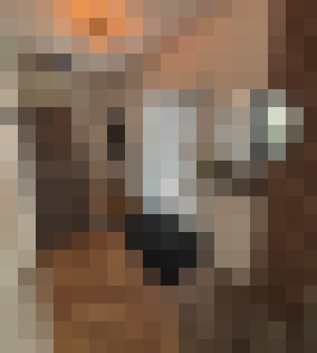  / #16