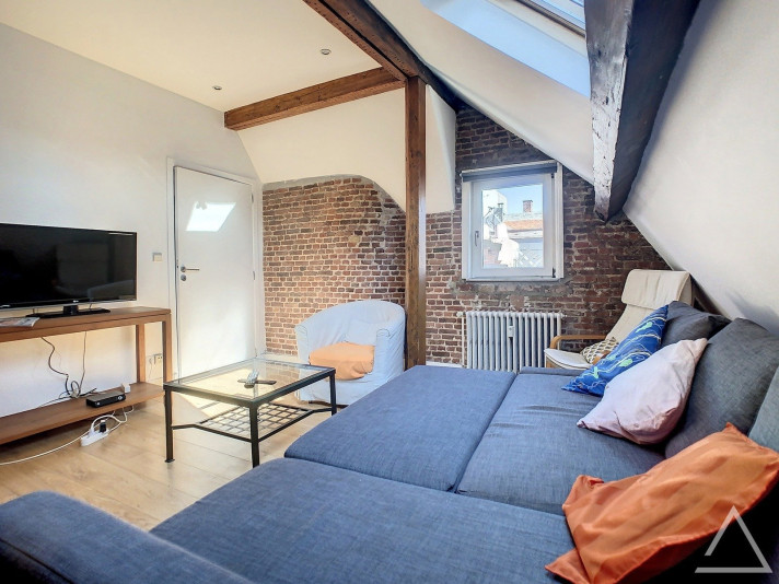 Sieh dir Foto 1/10 des apartment in Bruxelles an