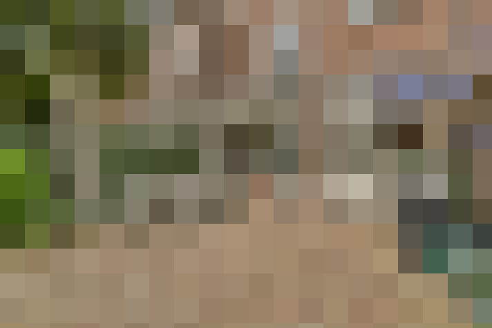  / #14