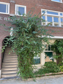 Mieszkanie — Amsterdam