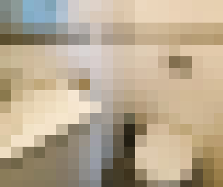  / #11
