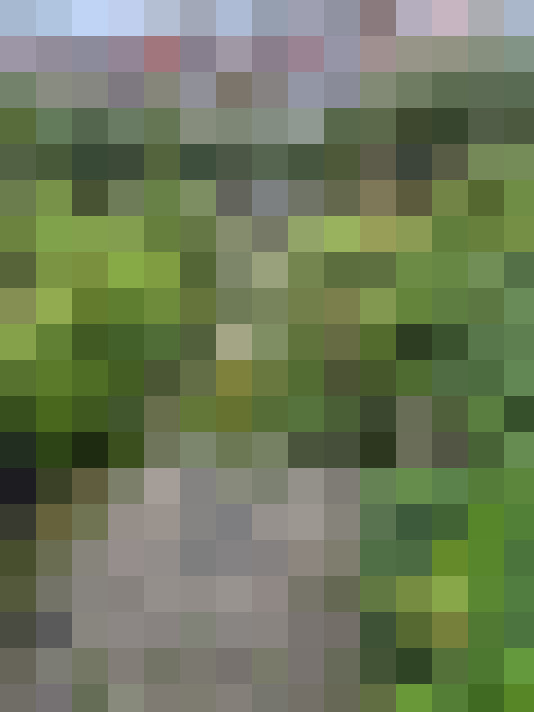  / #15