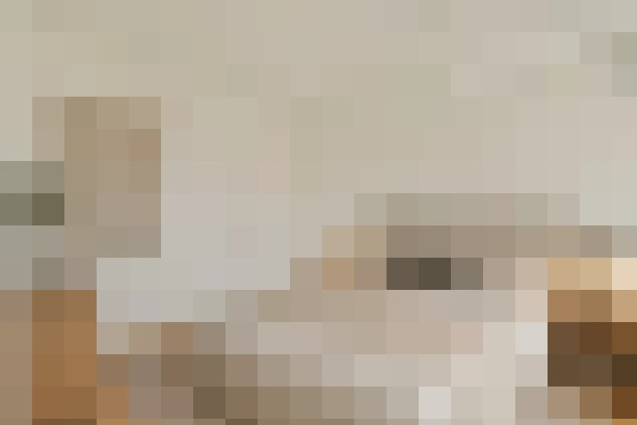  / #19