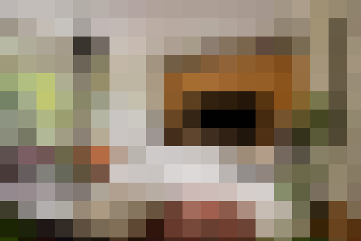  / #11