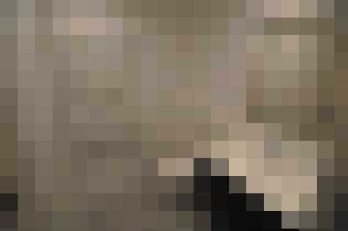  / #11