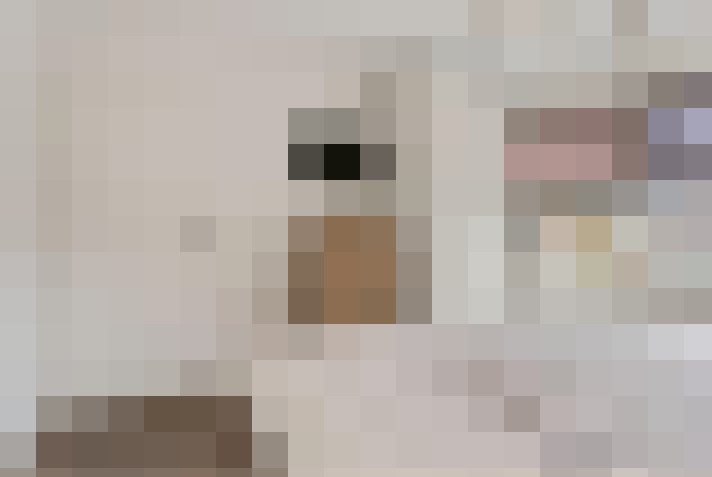  / #12