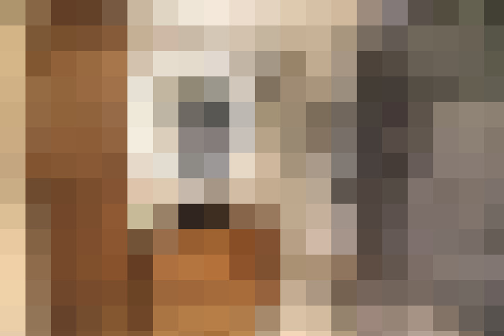  / #15