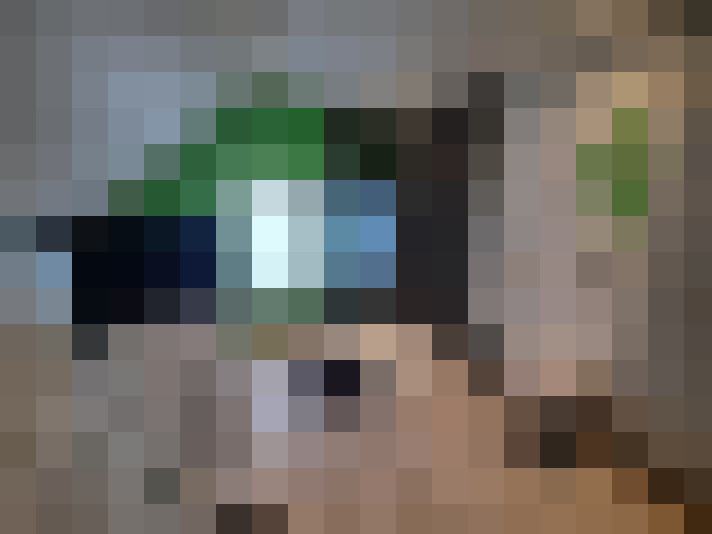  / #21