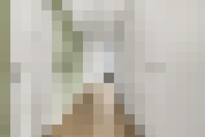  / #21