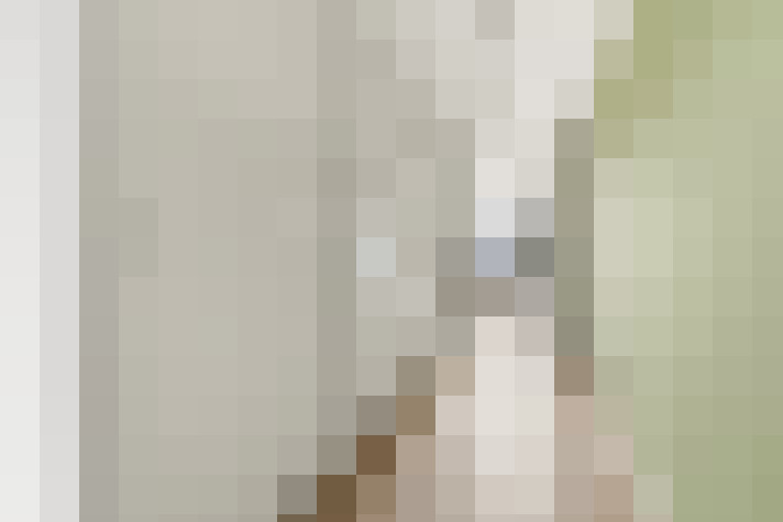  / #23
