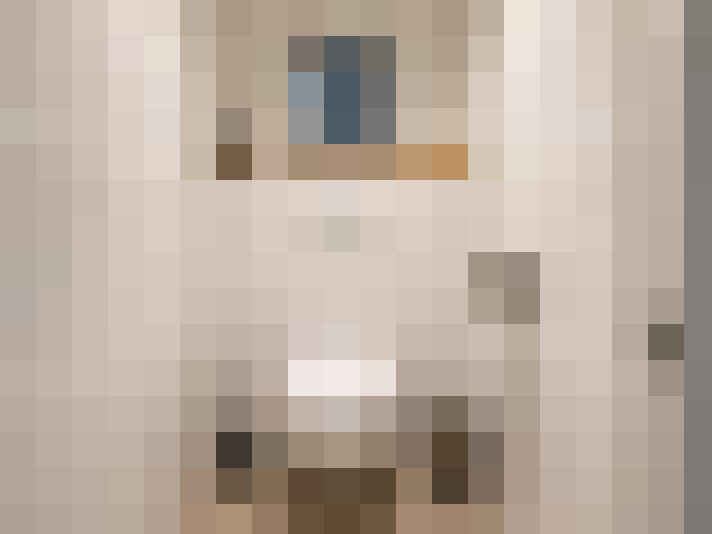  / #6