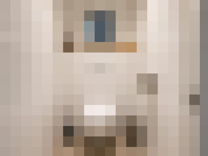  / #11