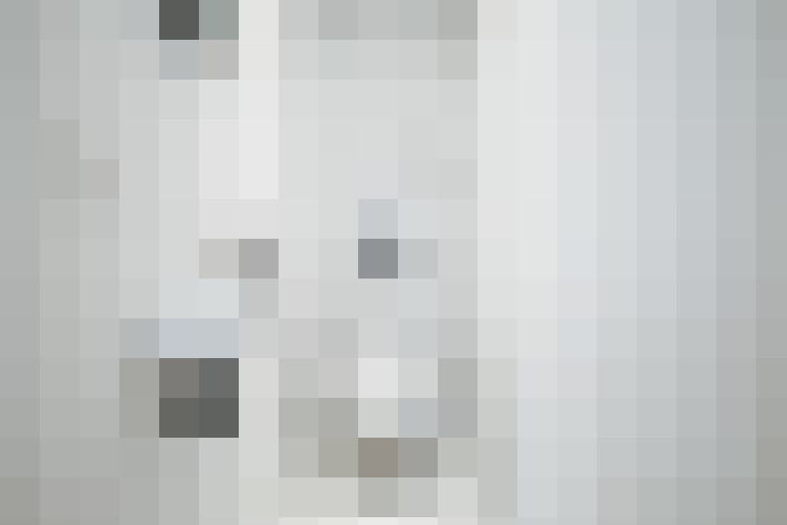  / #16