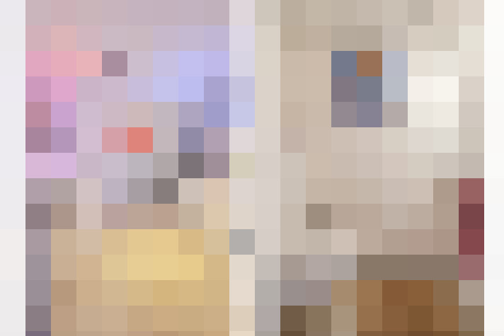  / #21