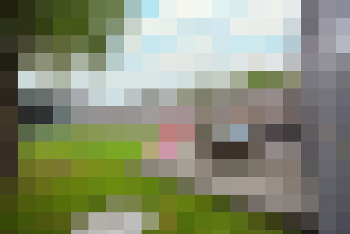  / #15