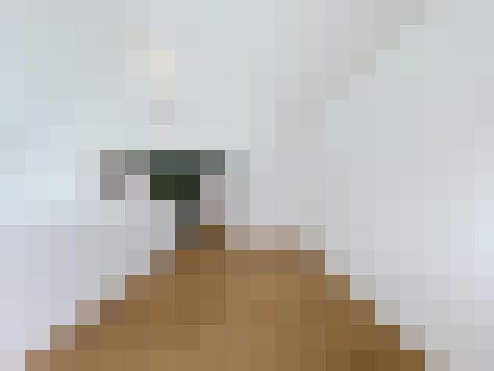  / #11
