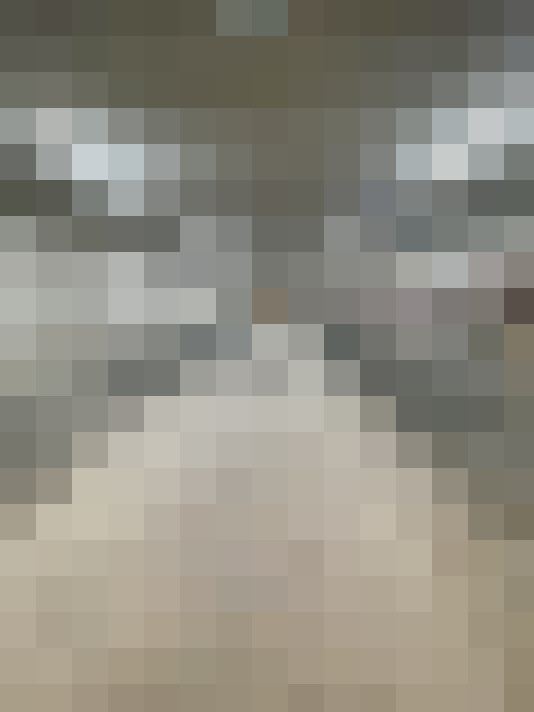  / #14