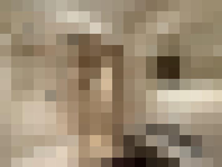  / #15