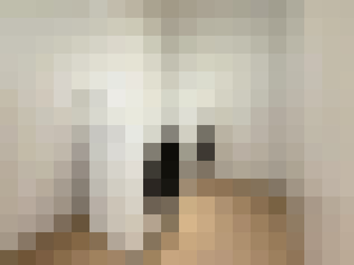  / #22