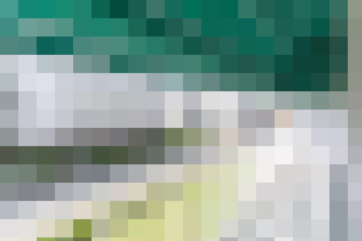  / #15