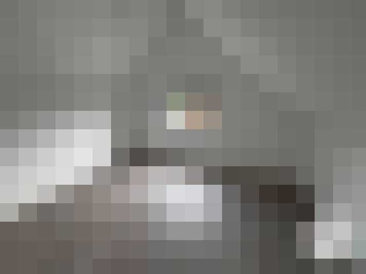  / #11