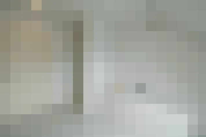  / #24