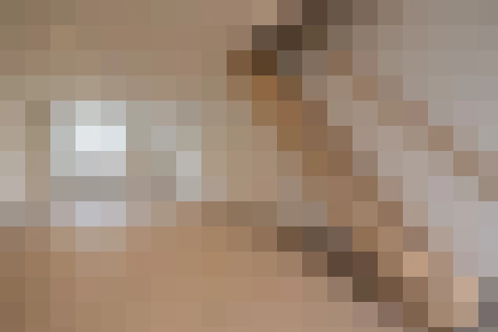  / #13