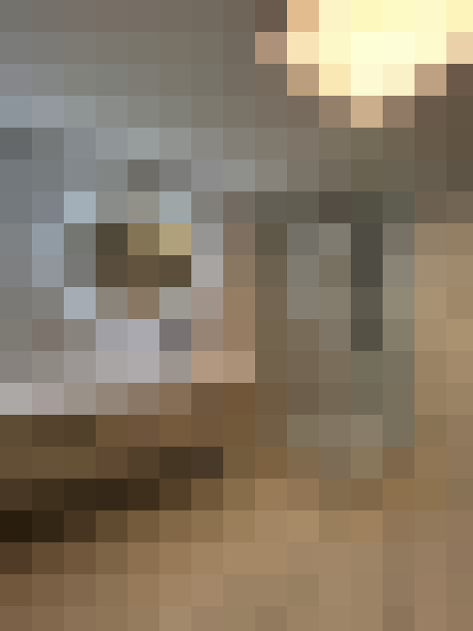  / #15