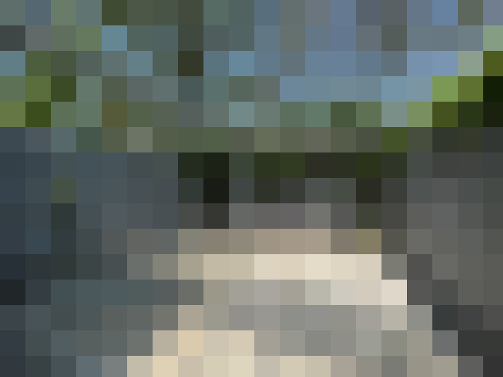  / #19