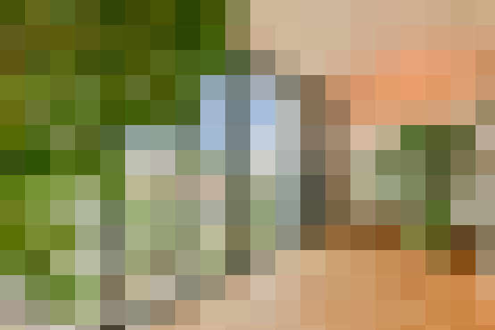  / #17