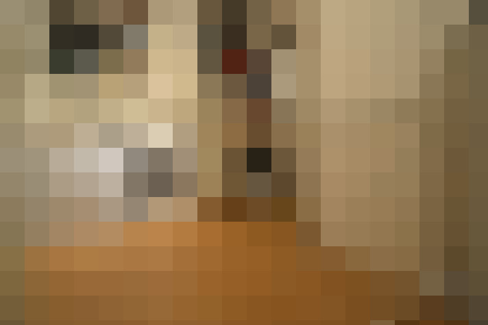  / #15