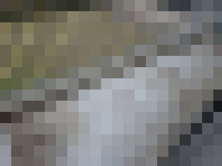  / #17