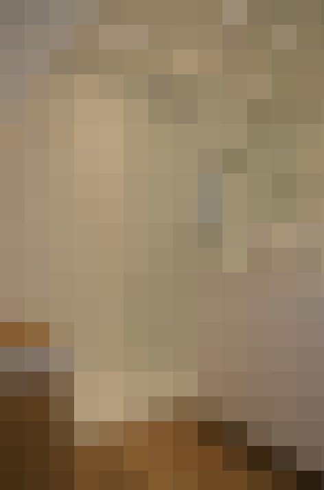  / #23
