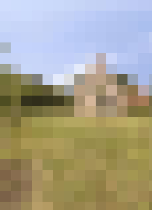  / #16