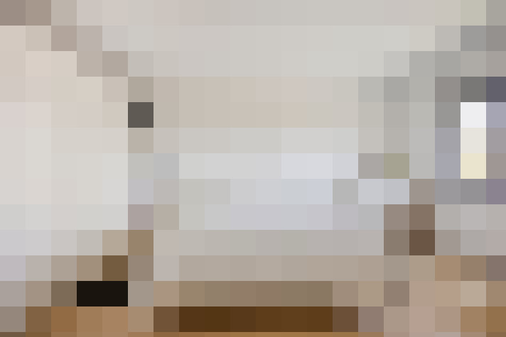  / #16