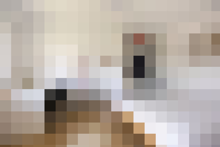  / #19