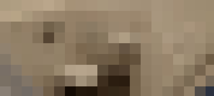  / #10