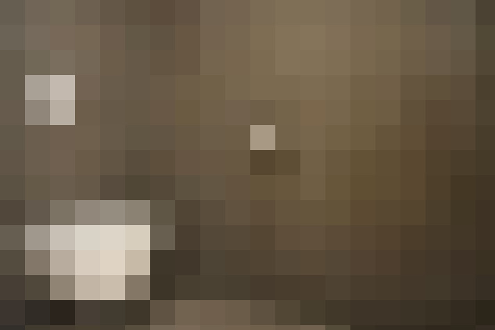  / #19