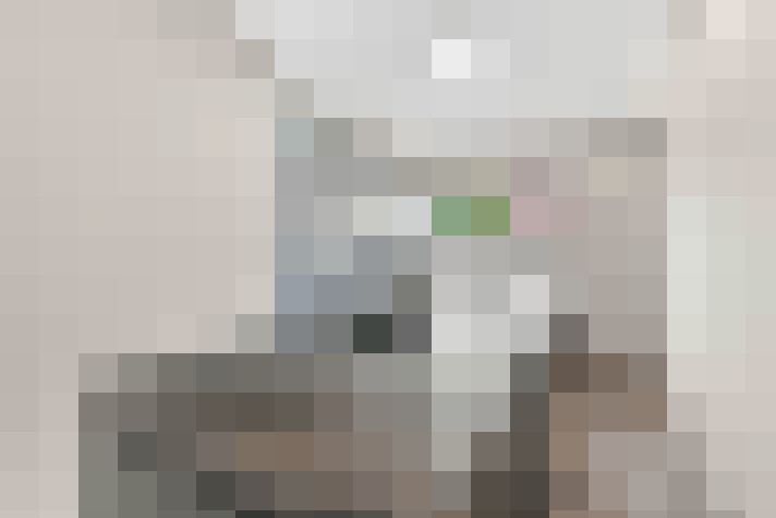  / #24