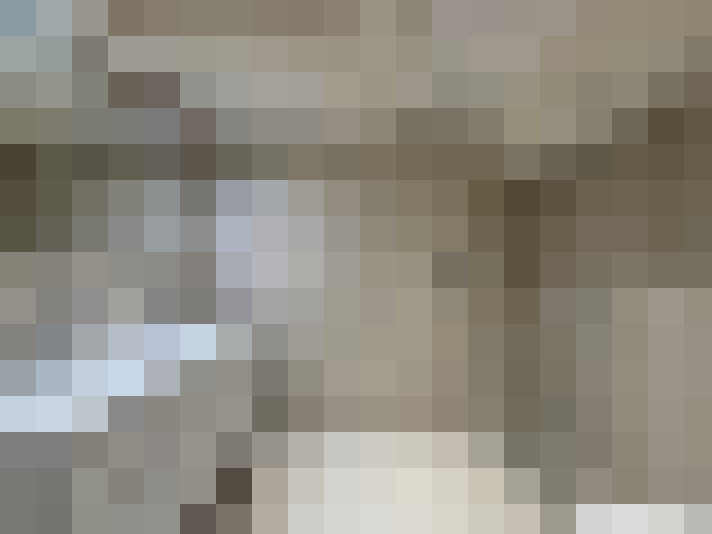  / #19
