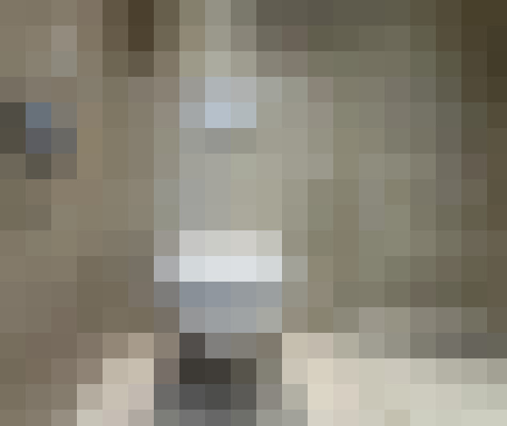  / #17