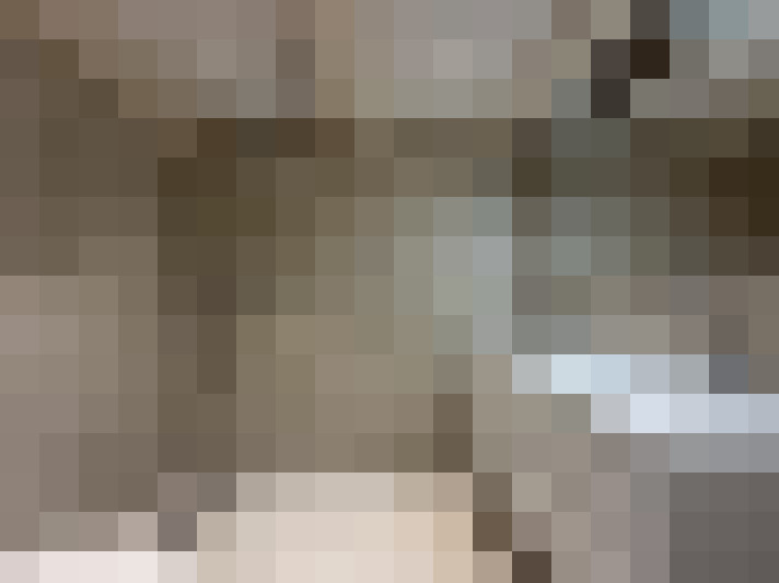  / #15
